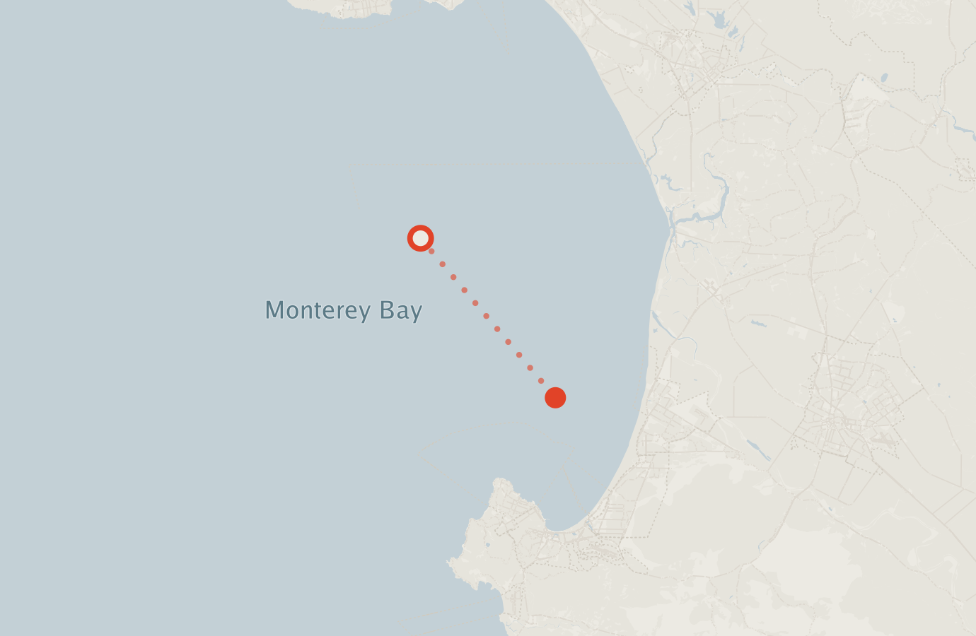 Activity map — real sighting points on an OpenStreetMap basemap