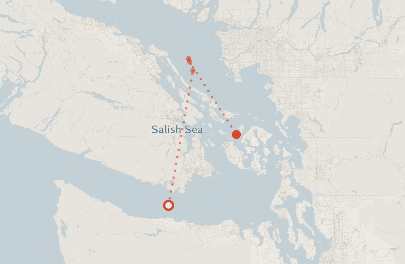 Activity map — real sighting points on an OpenStreetMap basemap