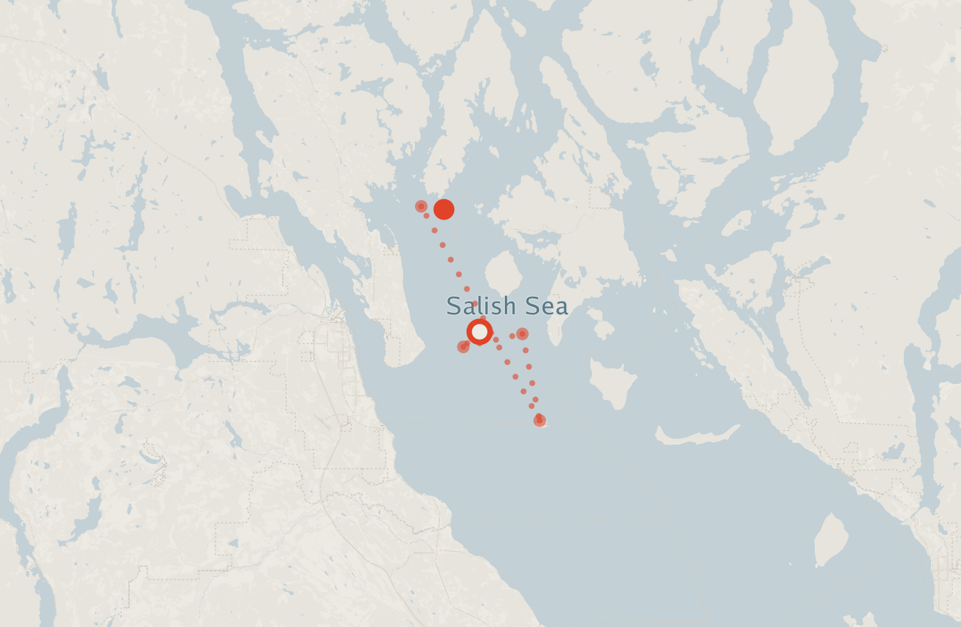 Activity map — real sighting points on an OpenStreetMap basemap