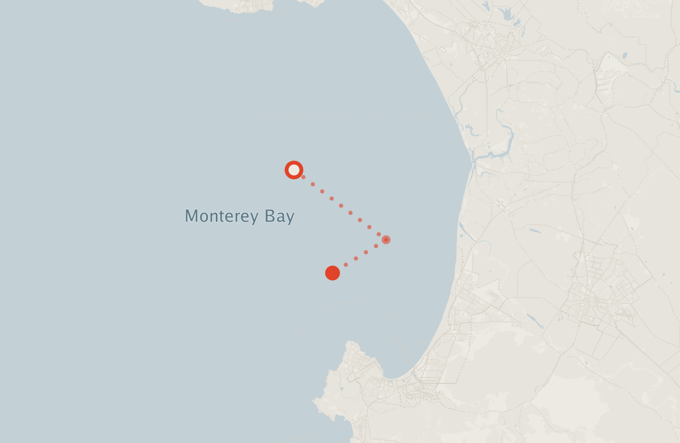 Activity map — real sighting points on an OpenStreetMap basemap