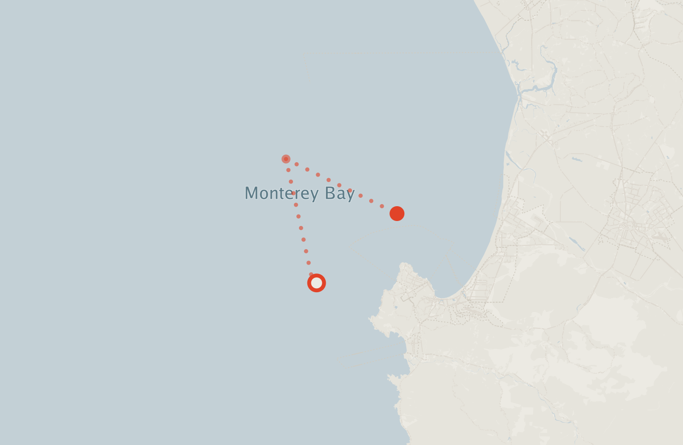 Activity map — real sighting points on an OpenStreetMap basemap
