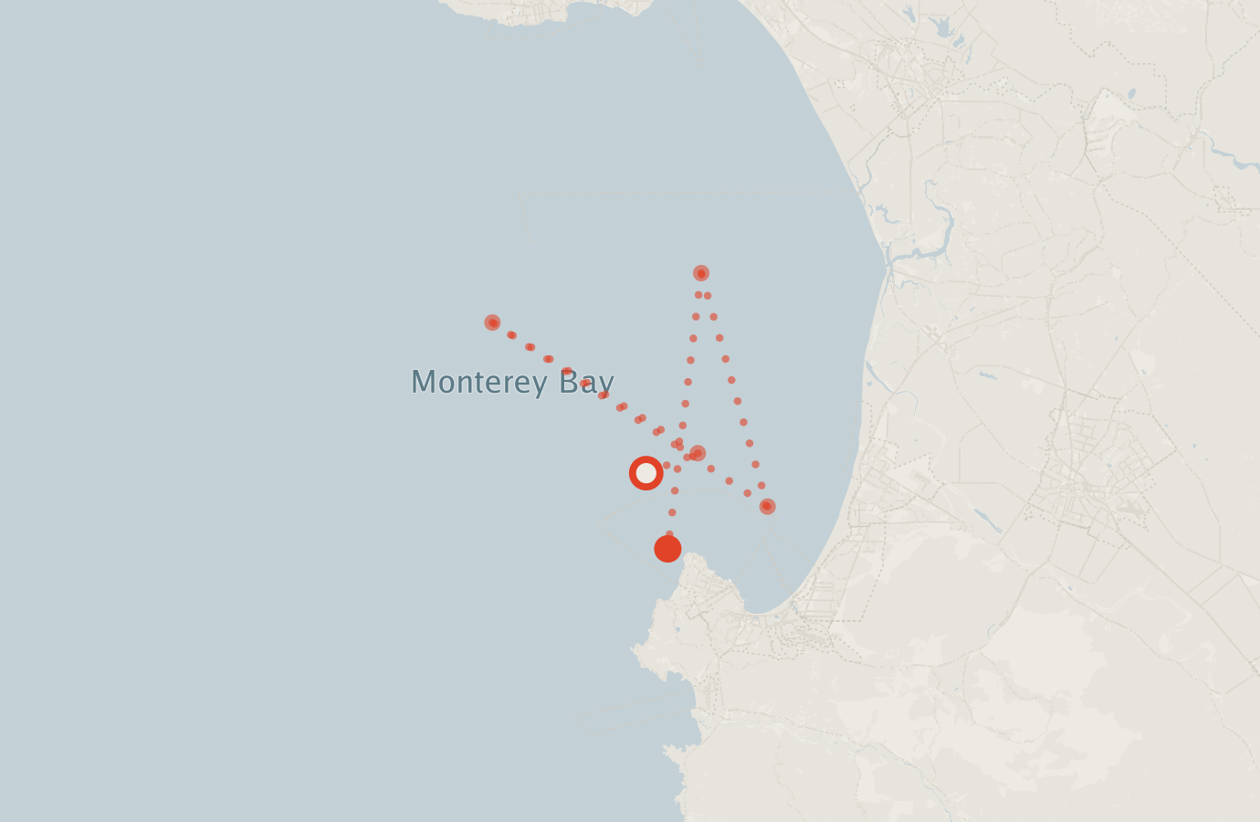 Activity map — real sighting points on an OpenStreetMap basemap