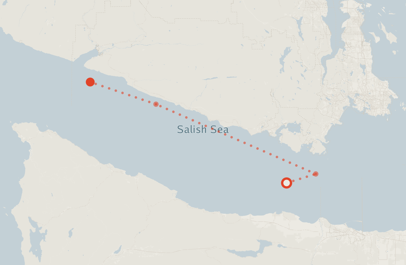 Activity map — real sighting points on an OpenStreetMap basemap