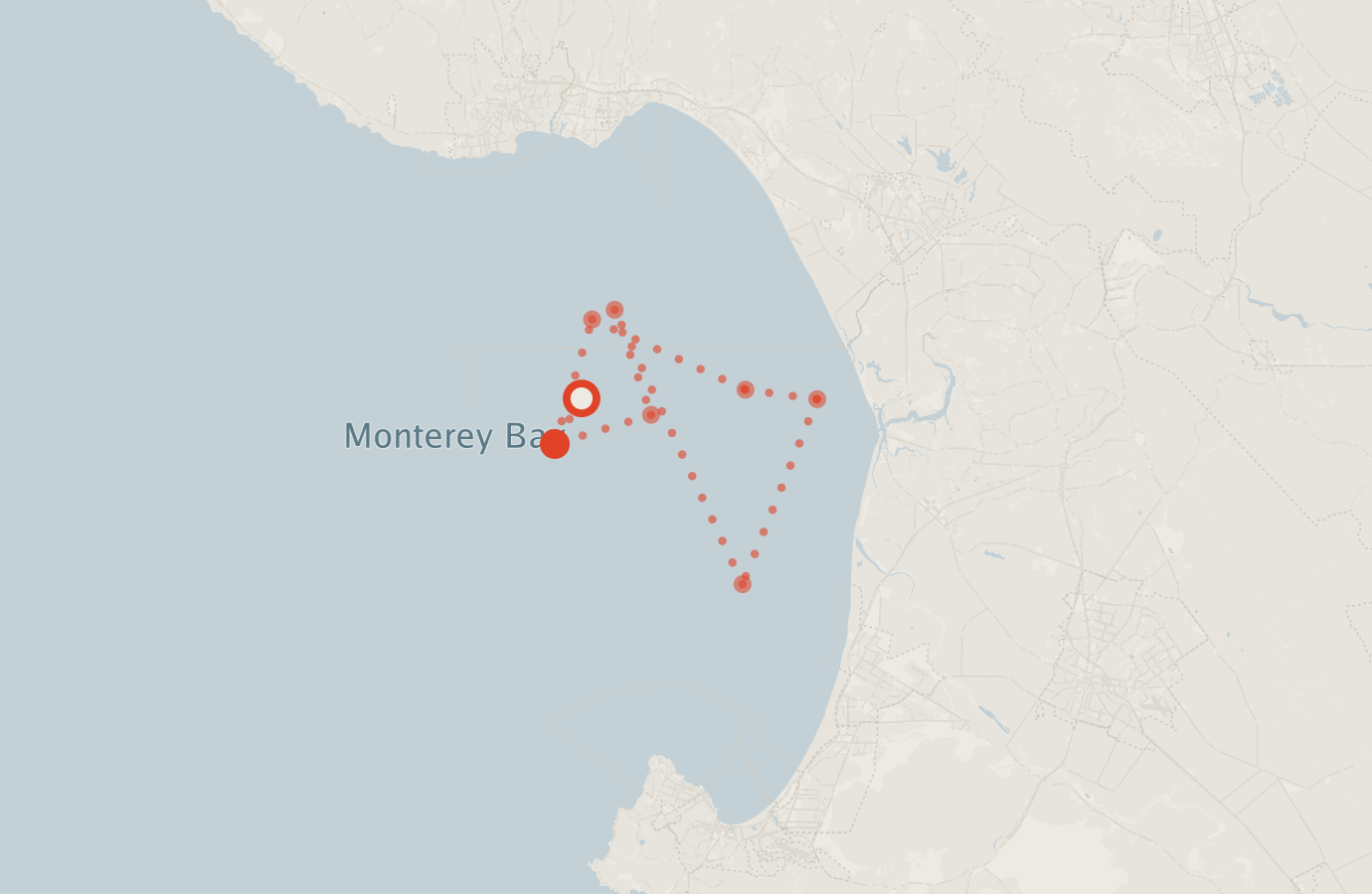 Activity map — real sighting points on an OpenStreetMap basemap
