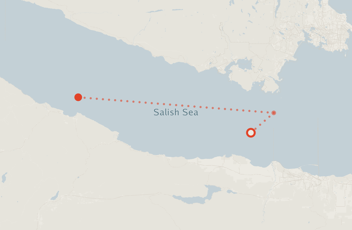 Activity map — real sighting points on an OpenStreetMap basemap