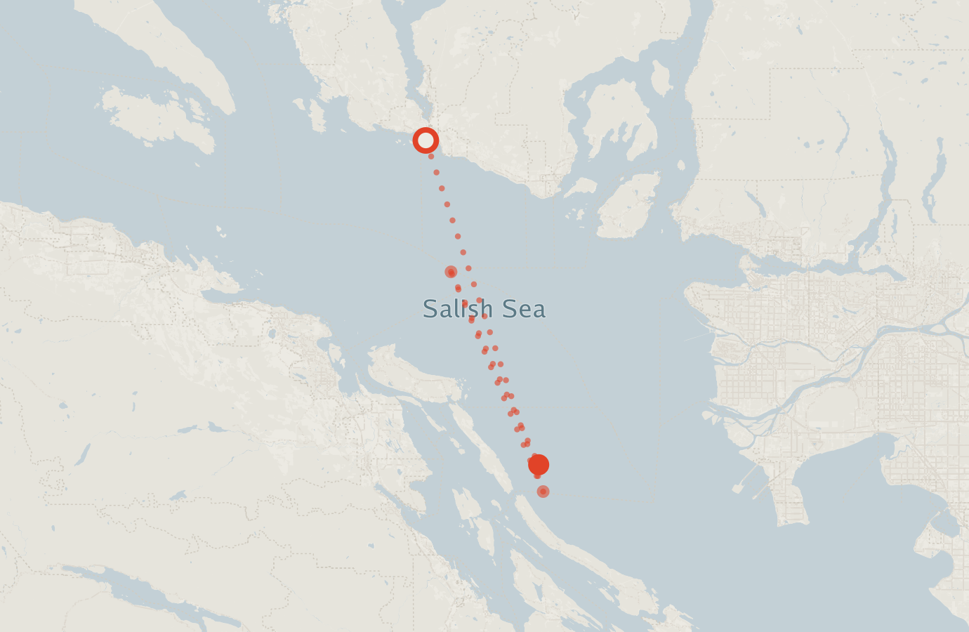 Activity map — real sighting points on an OpenStreetMap basemap