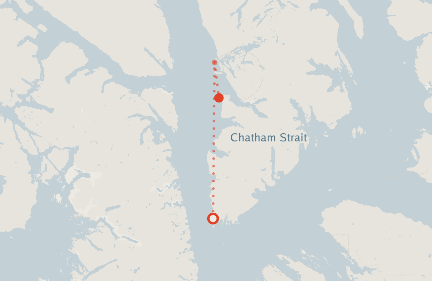 Activity map — real sighting points on an OpenStreetMap basemap