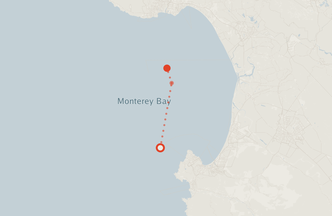 Activity map — real sighting points on an OpenStreetMap basemap