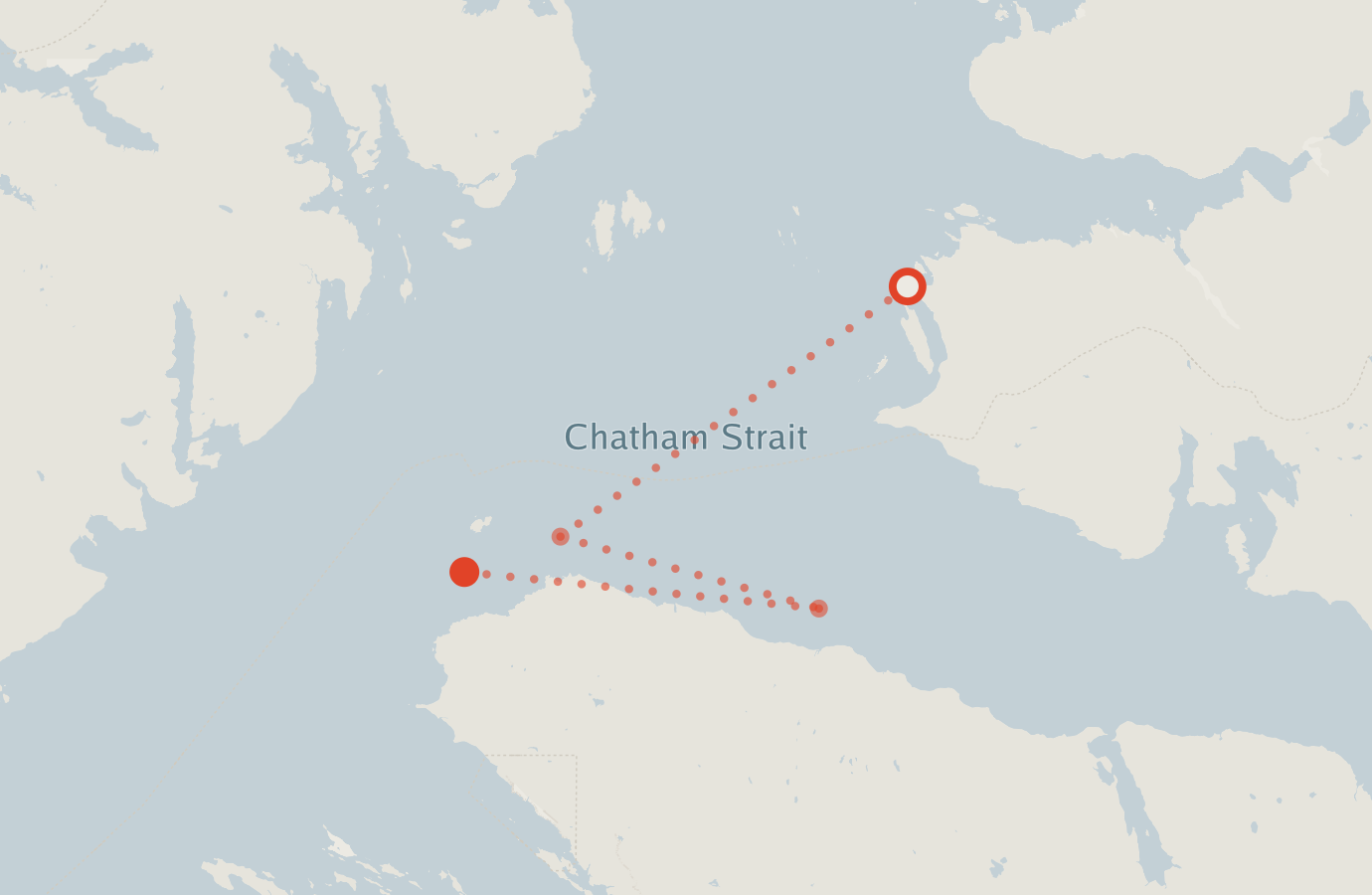 Activity map — real sighting points on an OpenStreetMap basemap