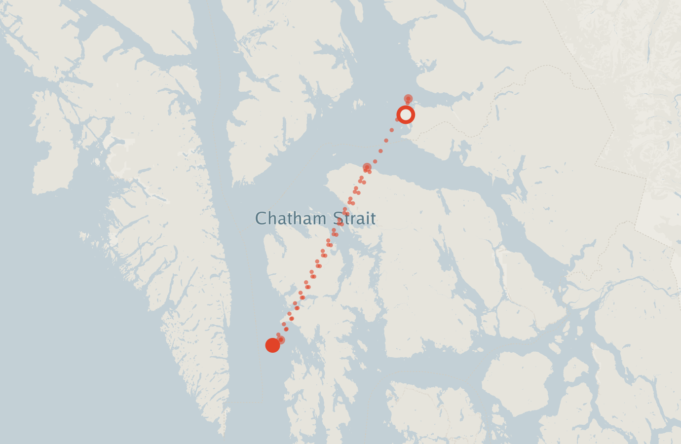 Activity map — real sighting points on an OpenStreetMap basemap