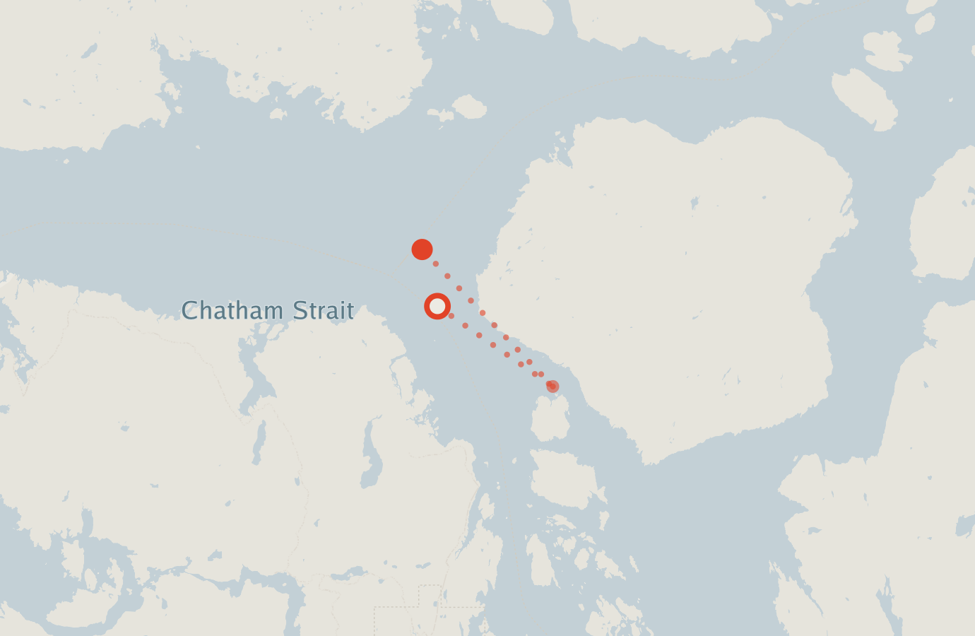 Activity map — real sighting points on an OpenStreetMap basemap