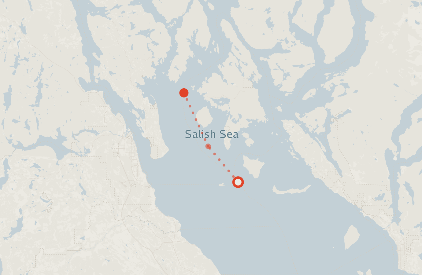 Activity map — real sighting points on an OpenStreetMap basemap