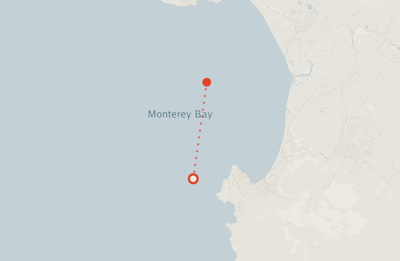 Activity map — real sighting points on an OpenStreetMap basemap