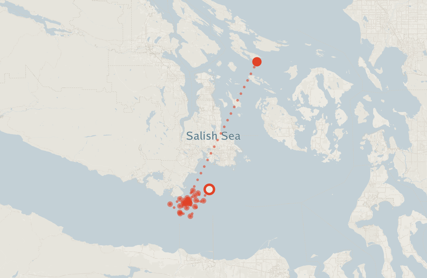 Activity map — real sighting points on an OpenStreetMap basemap