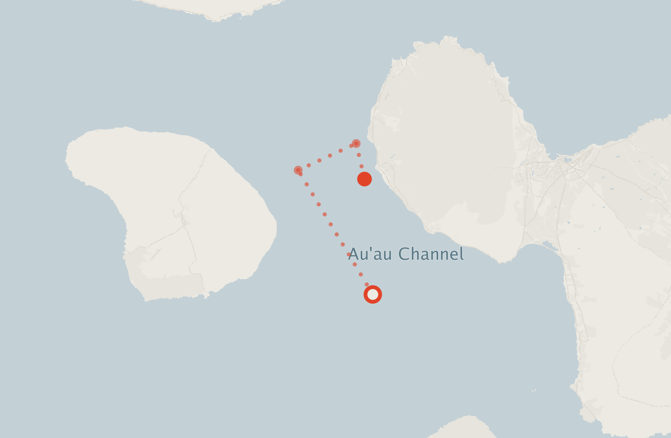 Activity map — real sighting points on an OpenStreetMap basemap