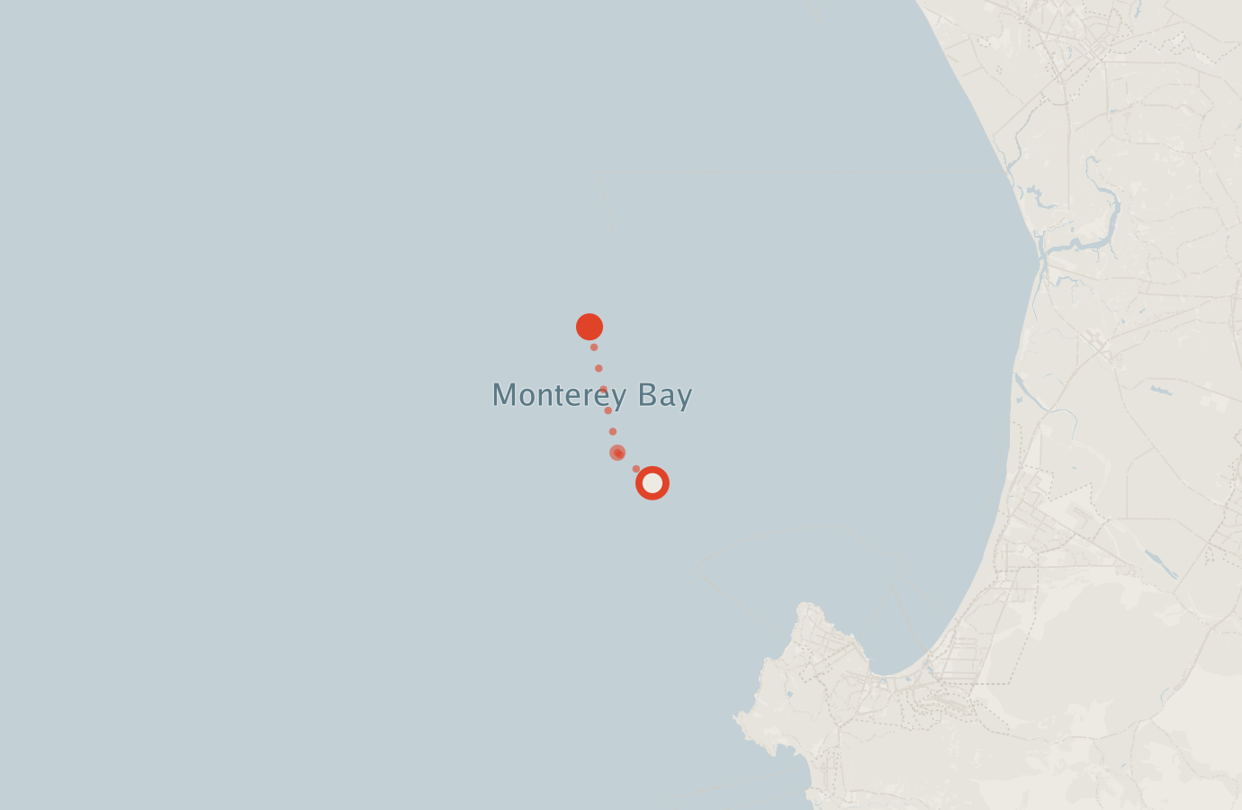 Activity map — real sighting points on an OpenStreetMap basemap