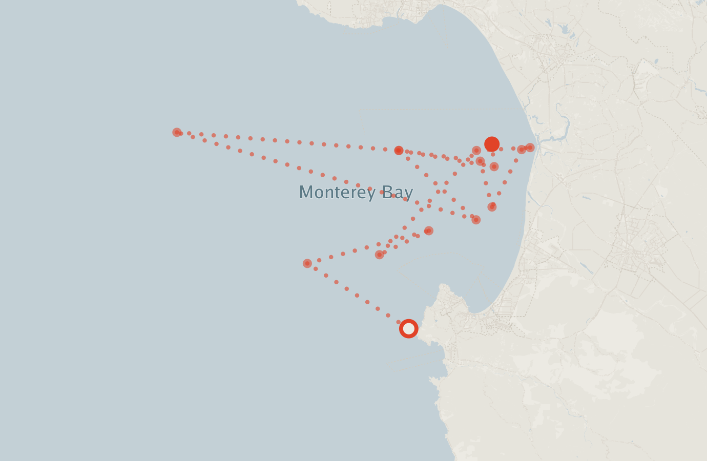 Activity map — real sighting points on an OpenStreetMap basemap