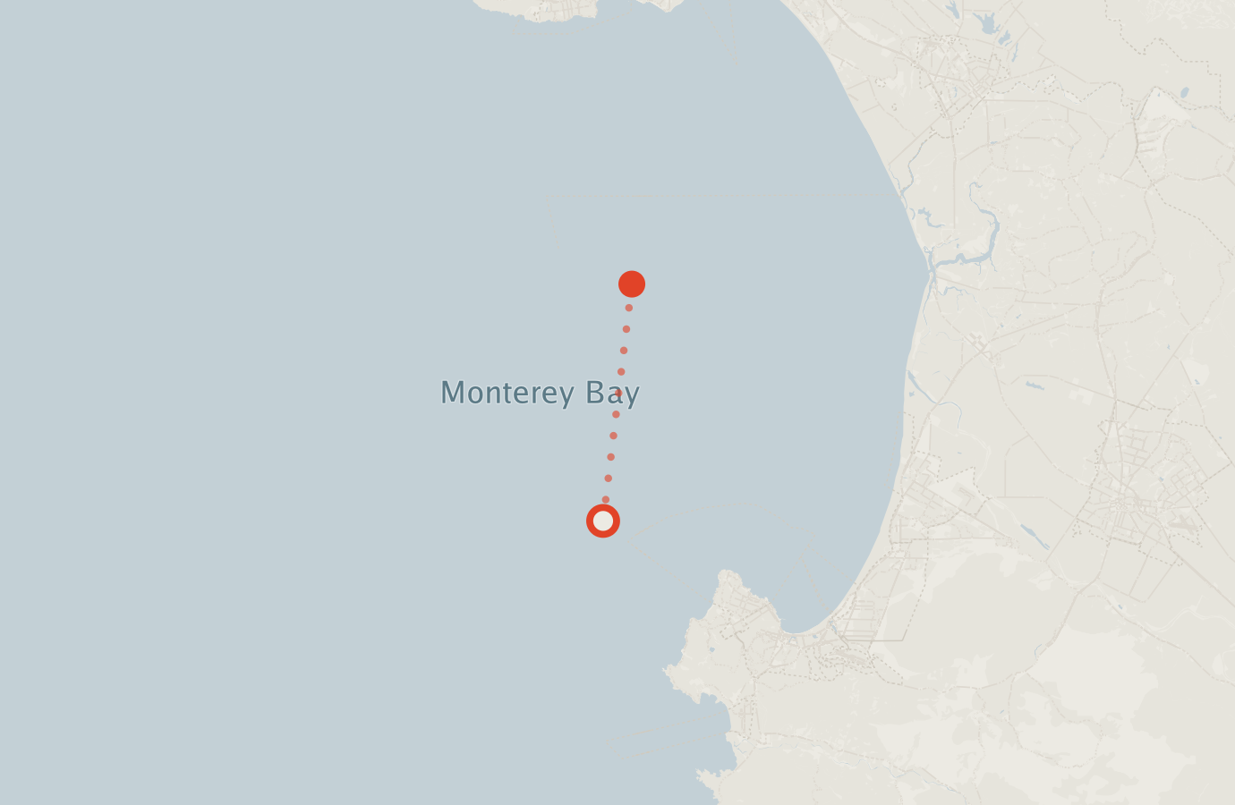 Activity map — real sighting points on an OpenStreetMap basemap