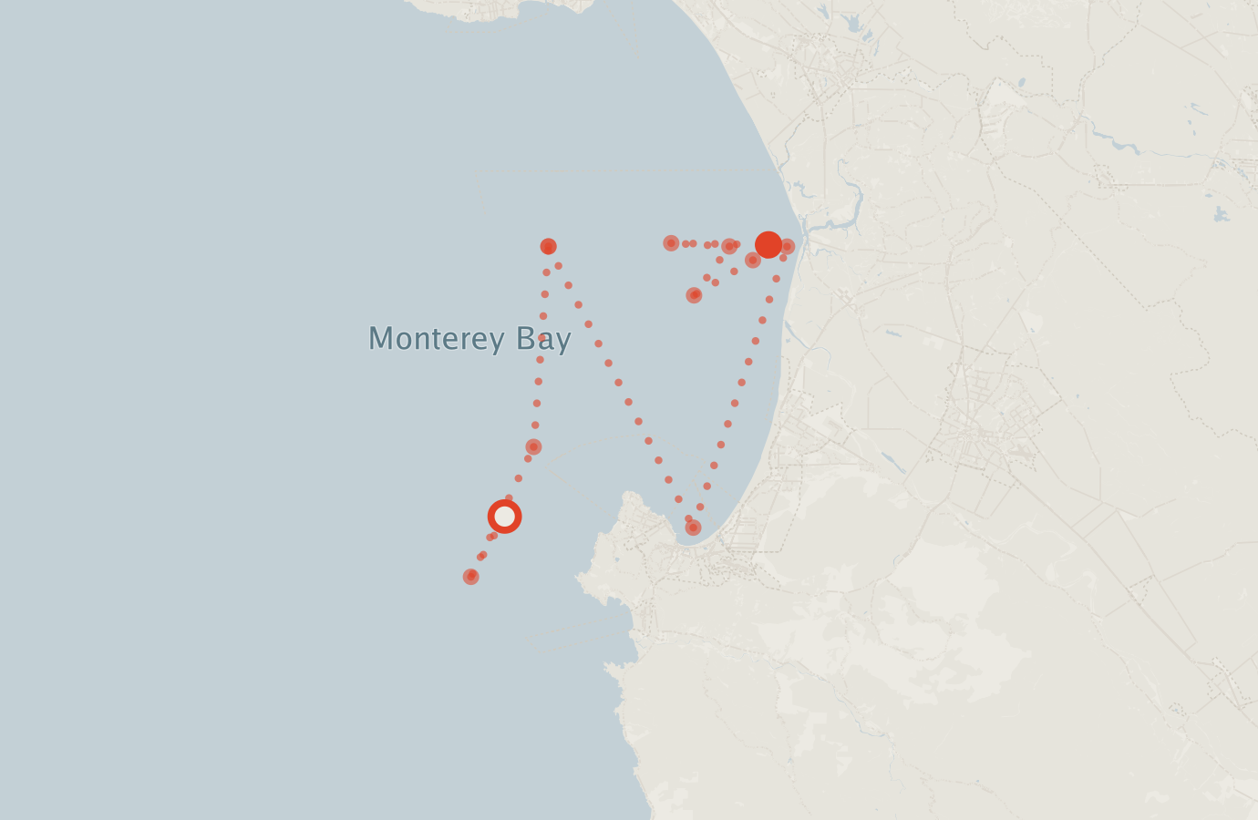 Activity map — real sighting points on an OpenStreetMap basemap