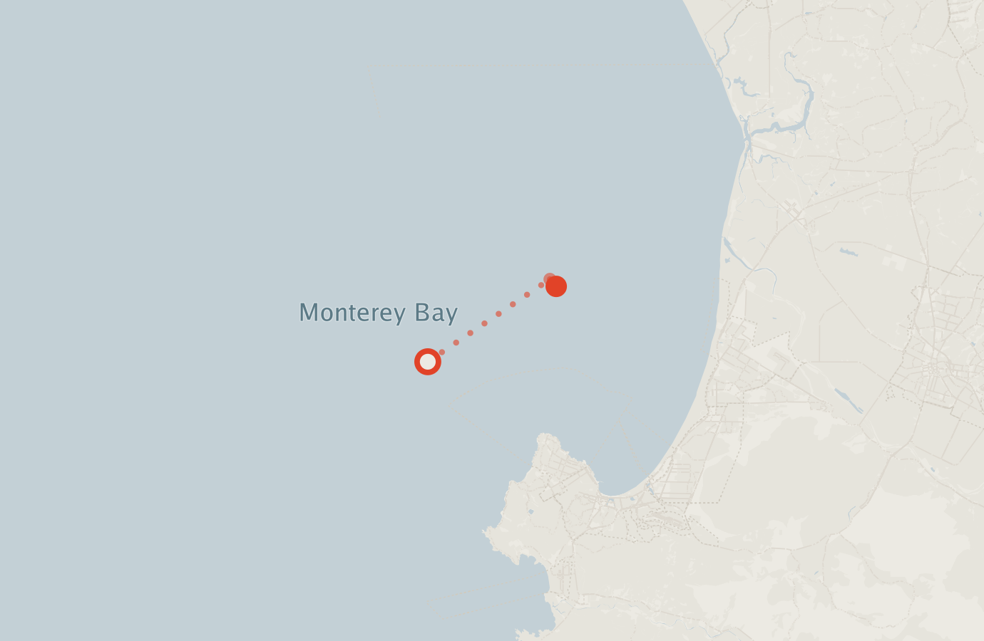 Activity map — real sighting points on an OpenStreetMap basemap