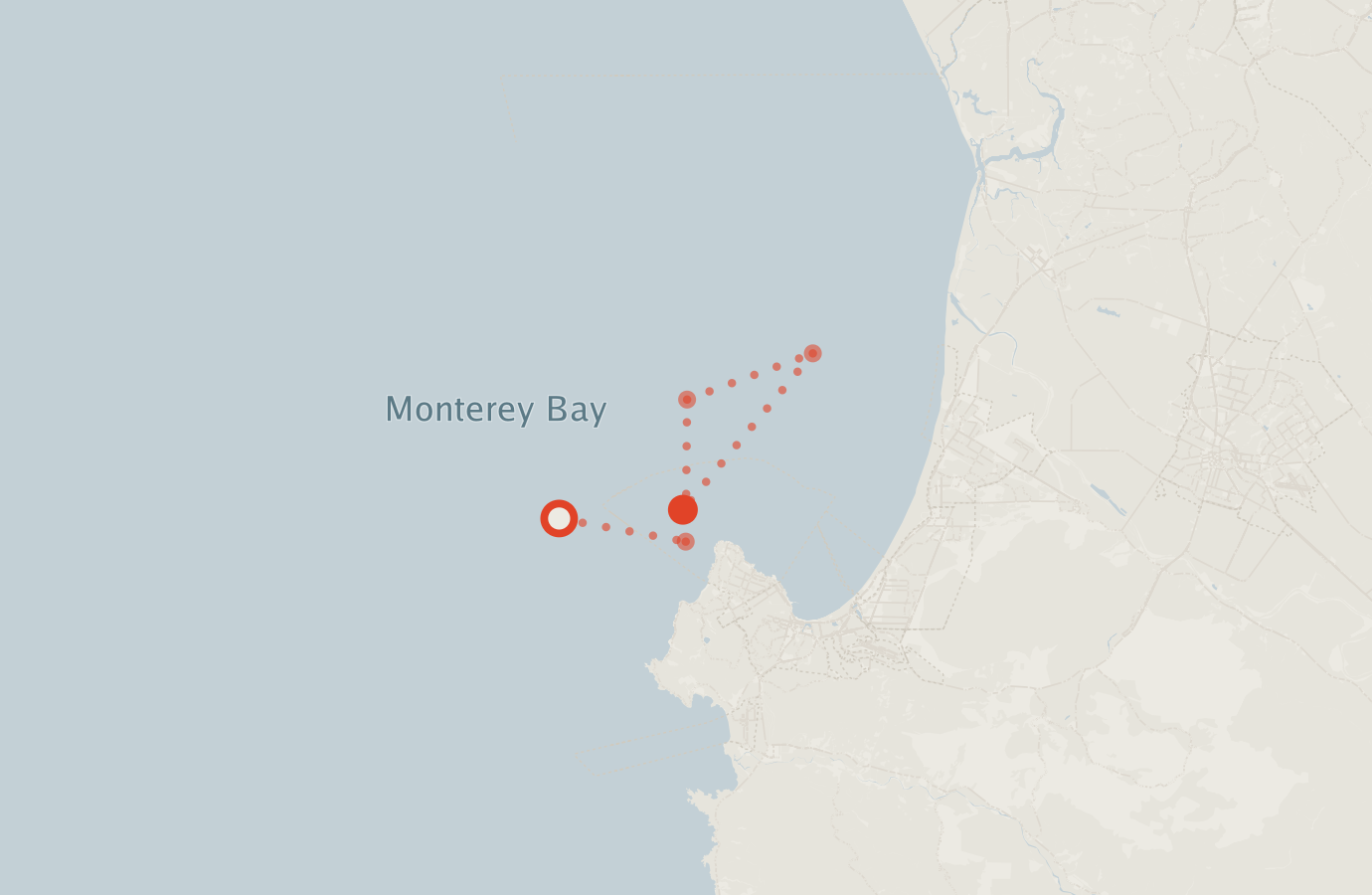 Activity map — real sighting points on an OpenStreetMap basemap