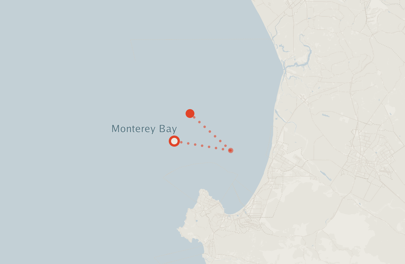 Activity map — real sighting points on an OpenStreetMap basemap