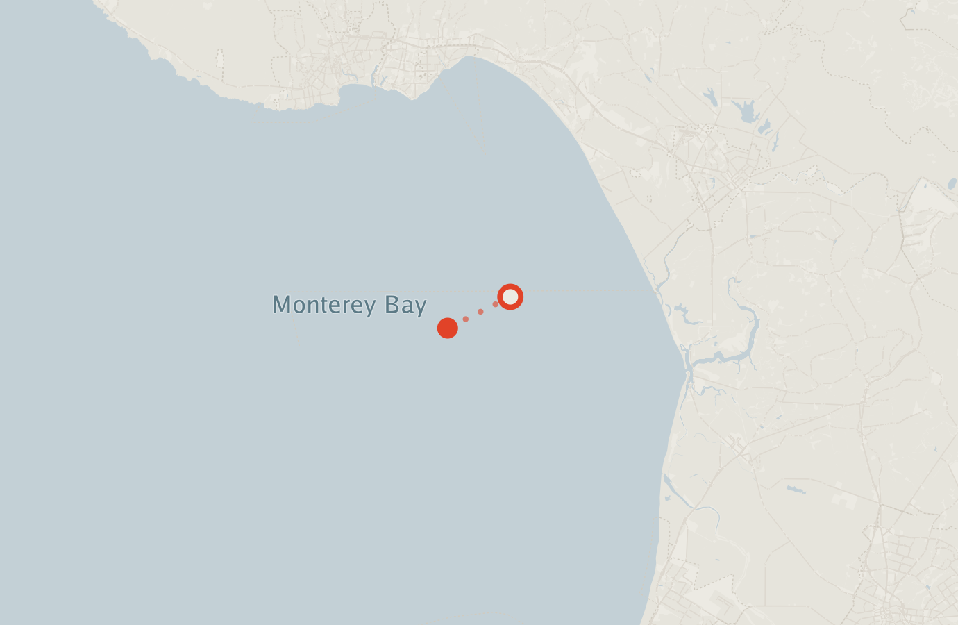 Activity map — real sighting points on an OpenStreetMap basemap