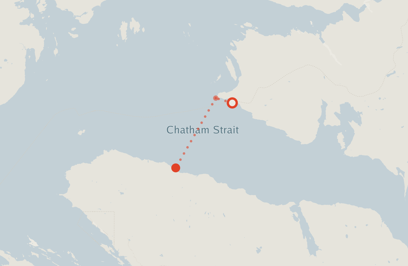 Activity map — real sighting points on an OpenStreetMap basemap