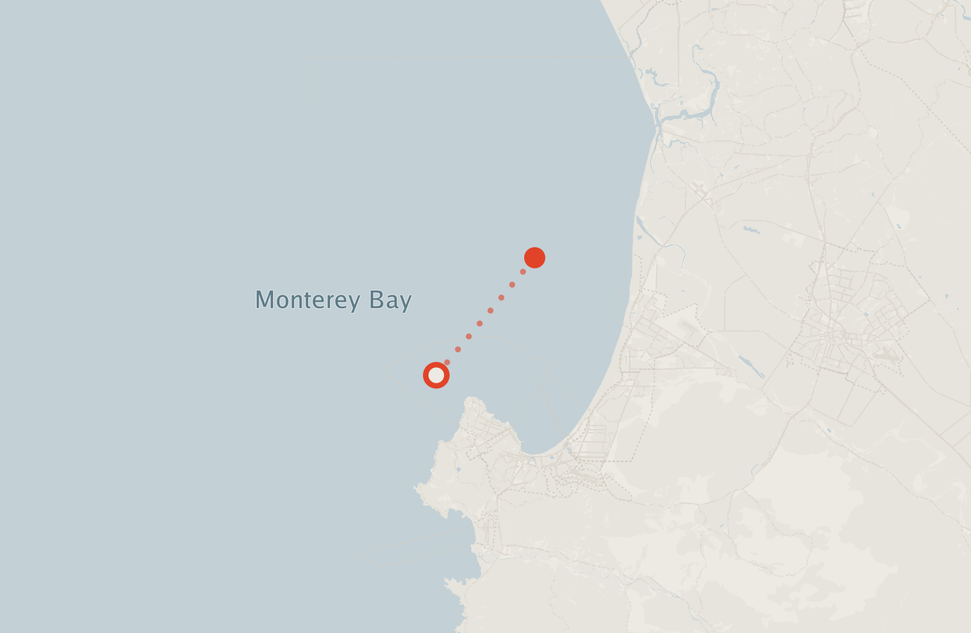 Activity map — real sighting points on an OpenStreetMap basemap
