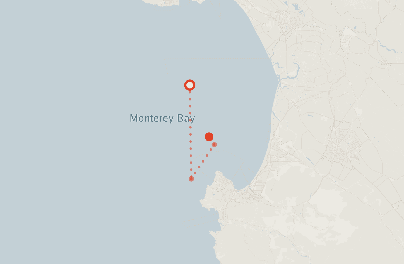Activity map — real sighting points on an OpenStreetMap basemap