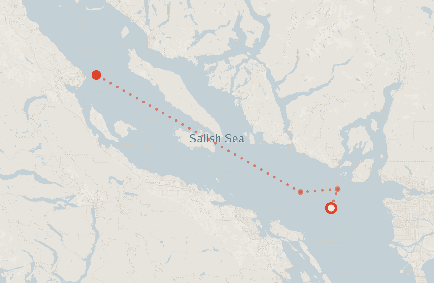 Activity map — real sighting points on an OpenStreetMap basemap