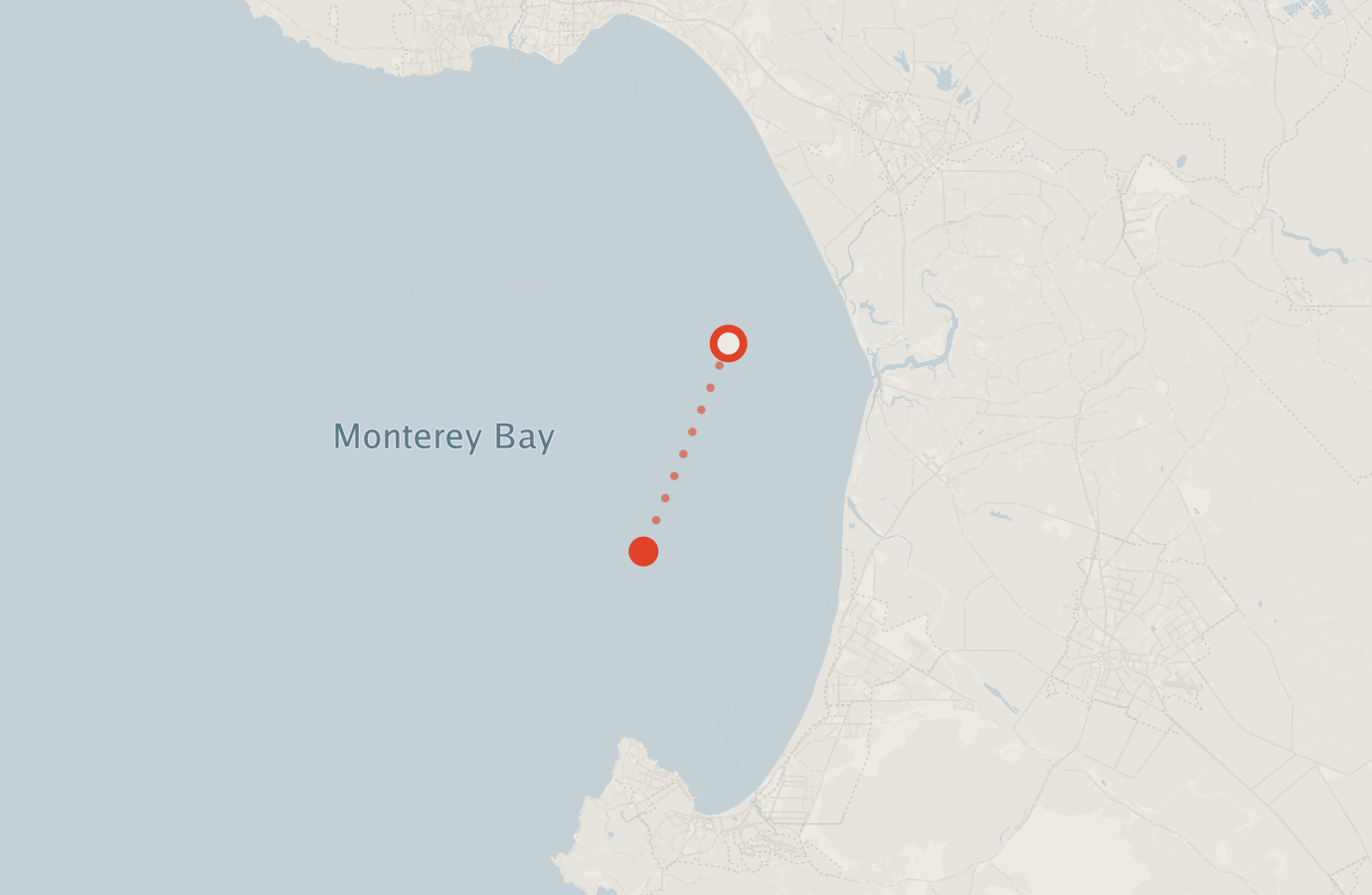 Activity map — real sighting points on an OpenStreetMap basemap