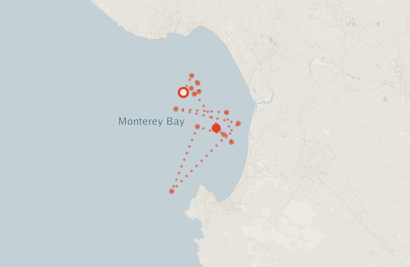 Activity map — real sighting points on an OpenStreetMap basemap