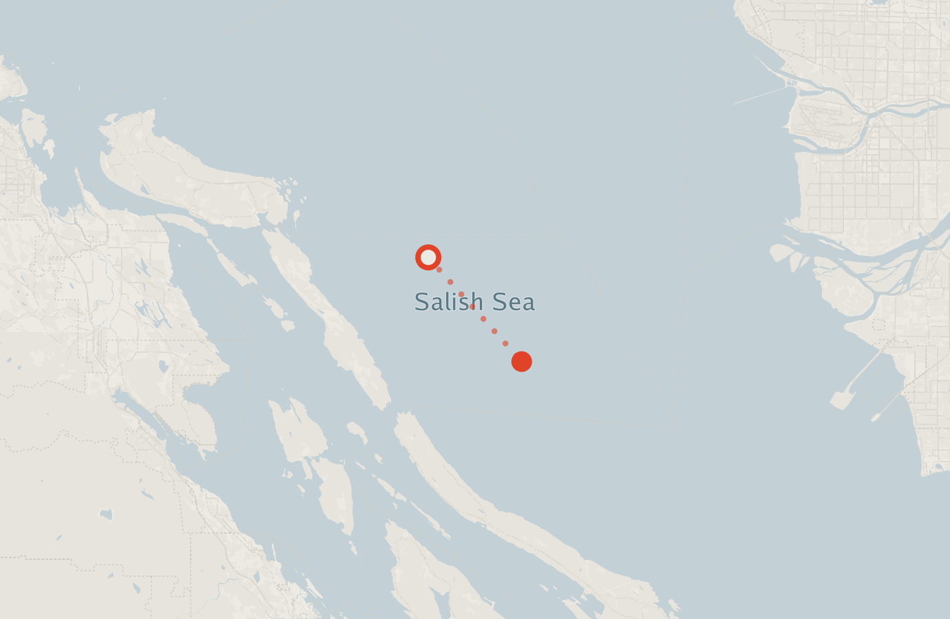 Activity map — real sighting points on an OpenStreetMap basemap