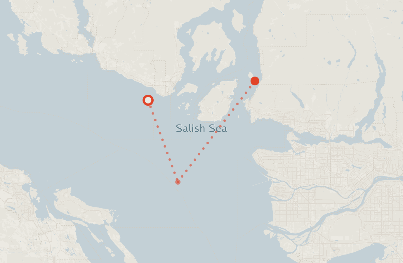 Activity map — real sighting points on an OpenStreetMap basemap