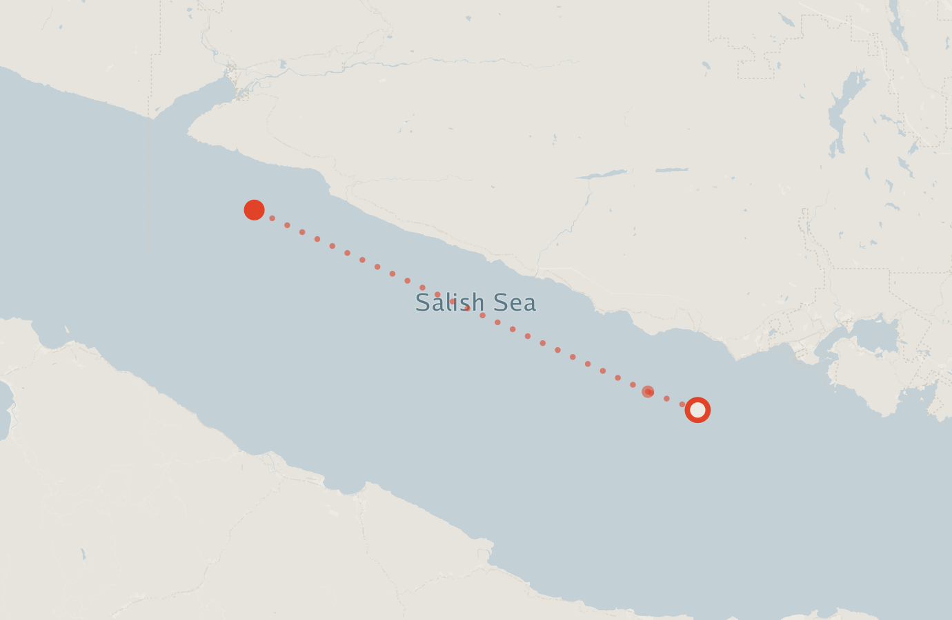 Activity map — real sighting points on an OpenStreetMap basemap