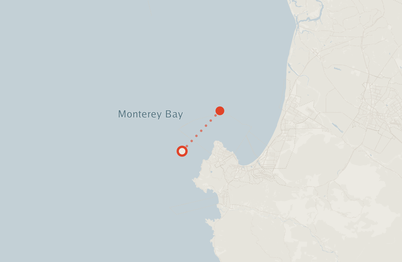 Activity map — real sighting points on an OpenStreetMap basemap