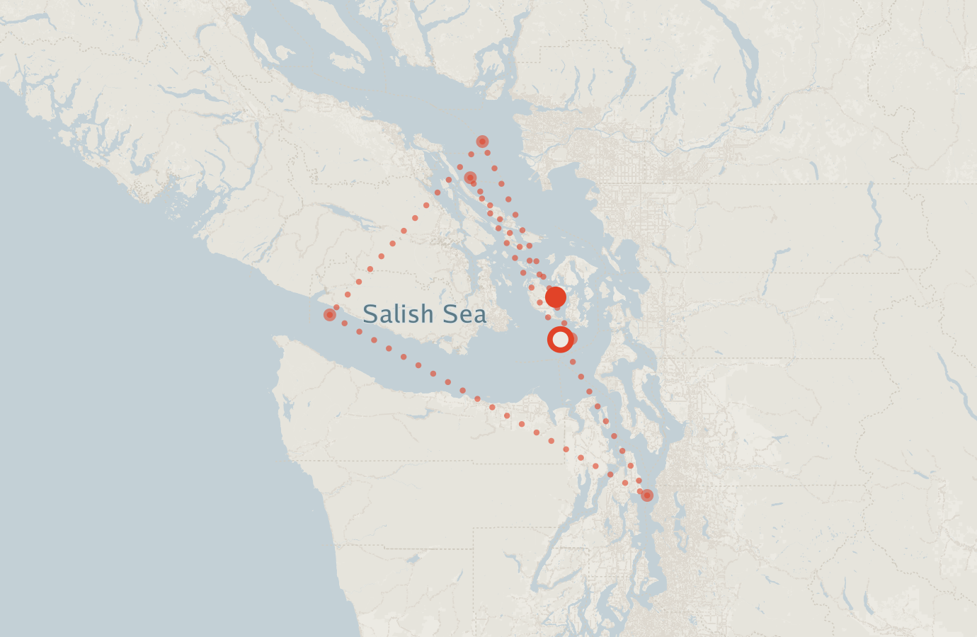 Activity map — real sighting points on an OpenStreetMap basemap