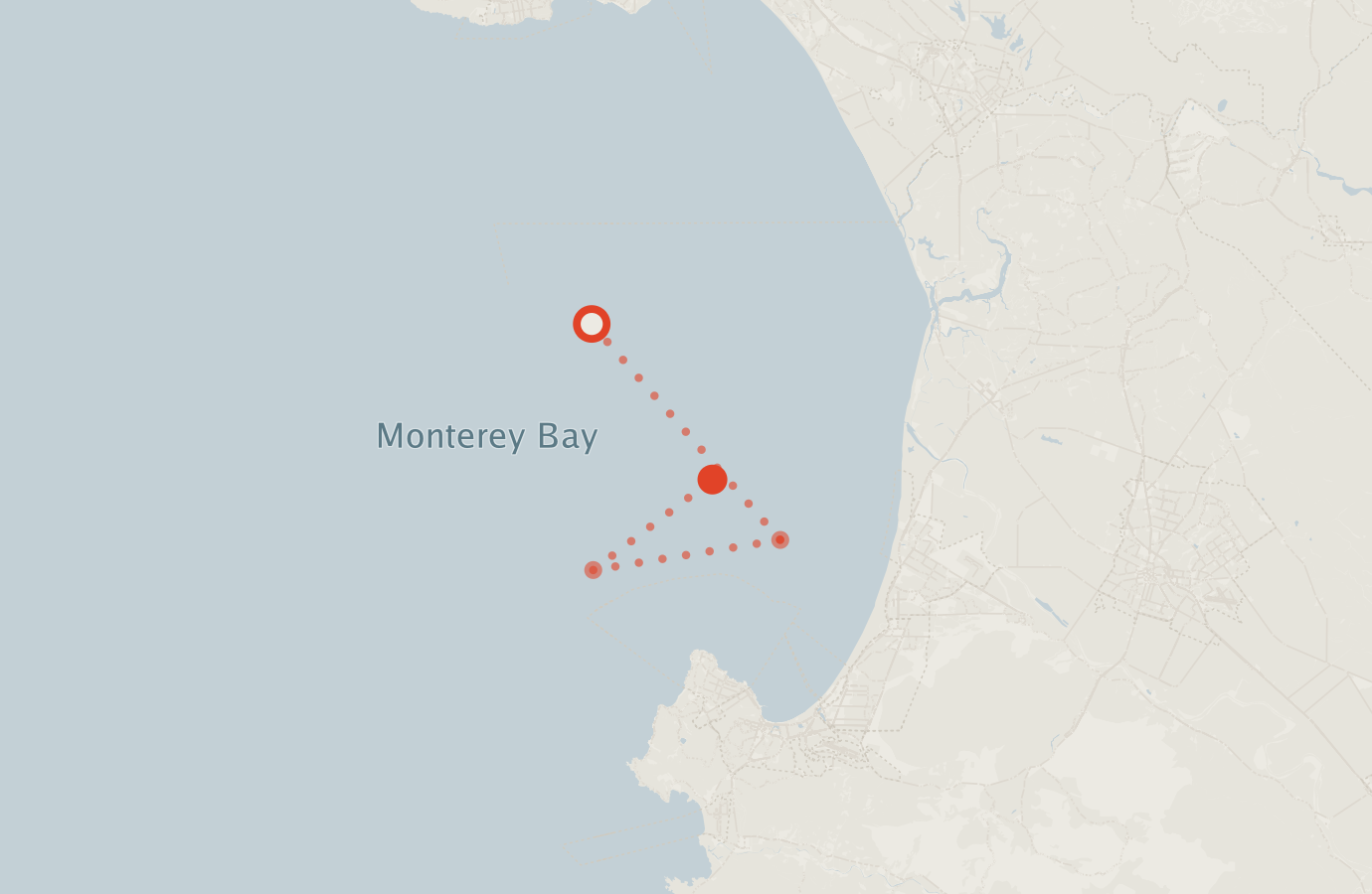 Activity map — real sighting points on an OpenStreetMap basemap