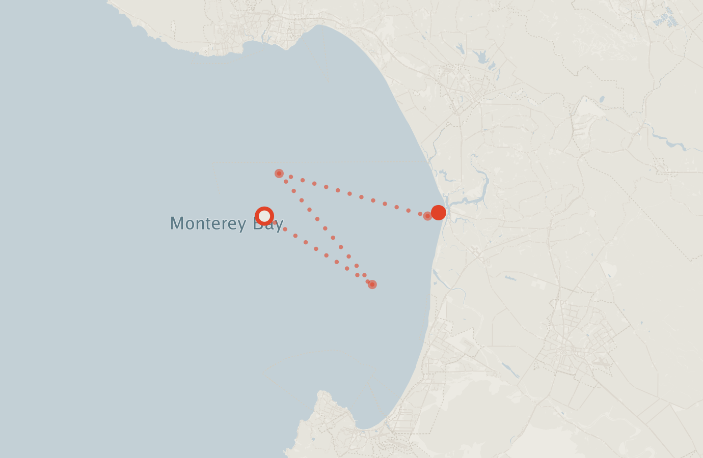 Activity map — real sighting points on an OpenStreetMap basemap