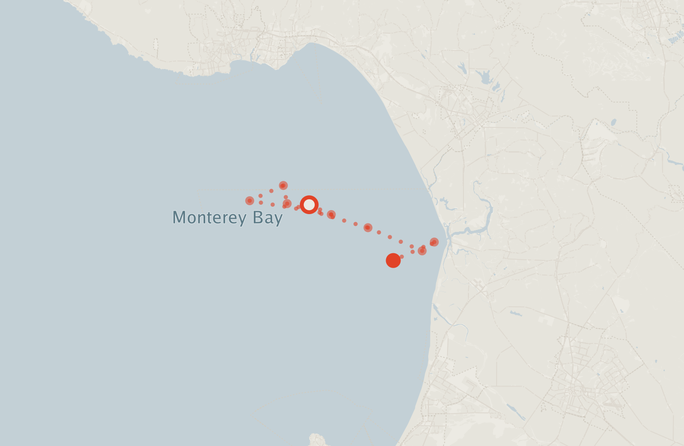Activity map — real sighting points on an OpenStreetMap basemap