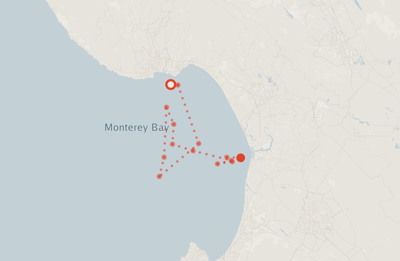 Activity map — real sighting points on an OpenStreetMap basemap