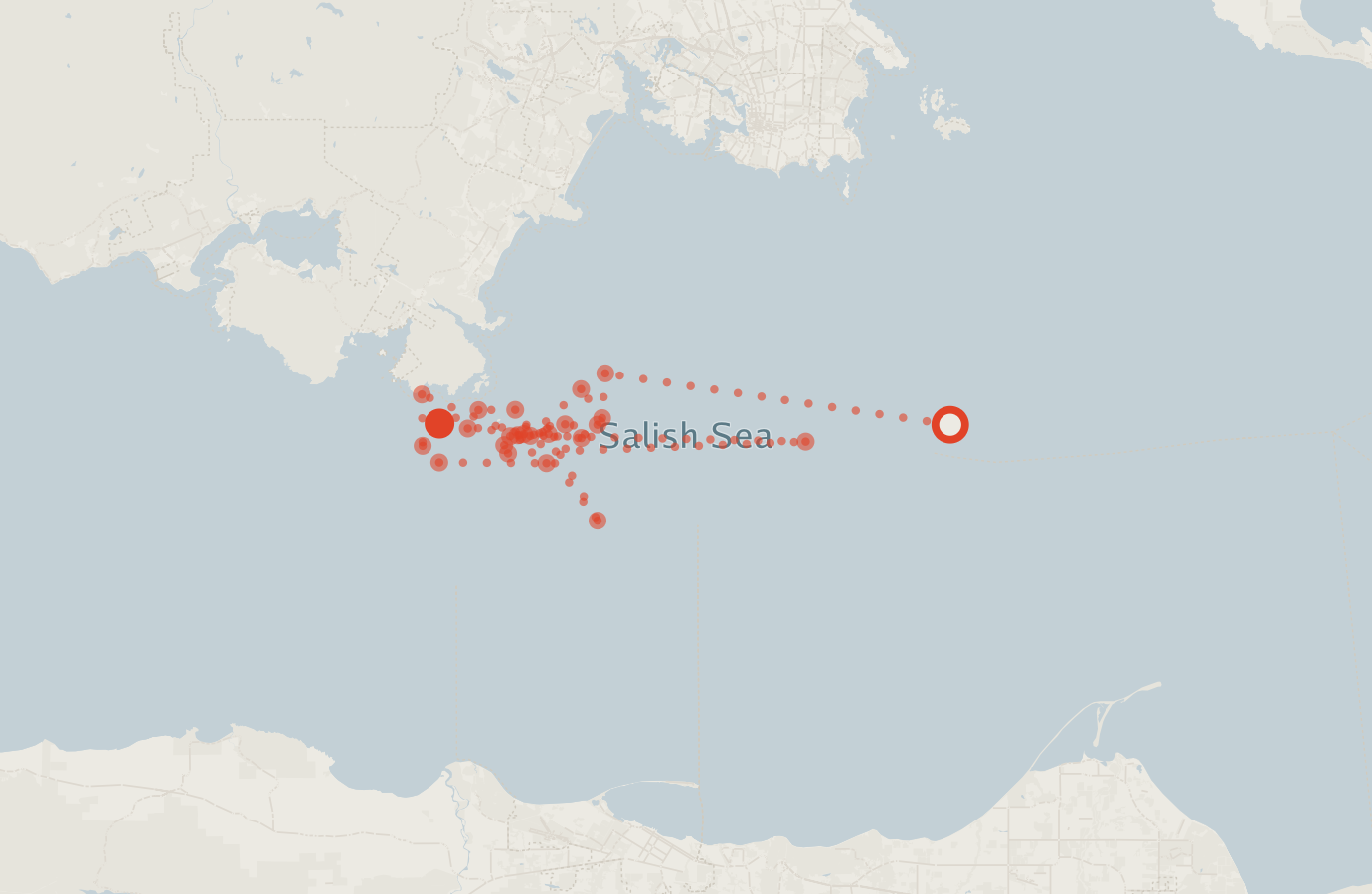 Activity map — real sighting points on an OpenStreetMap basemap