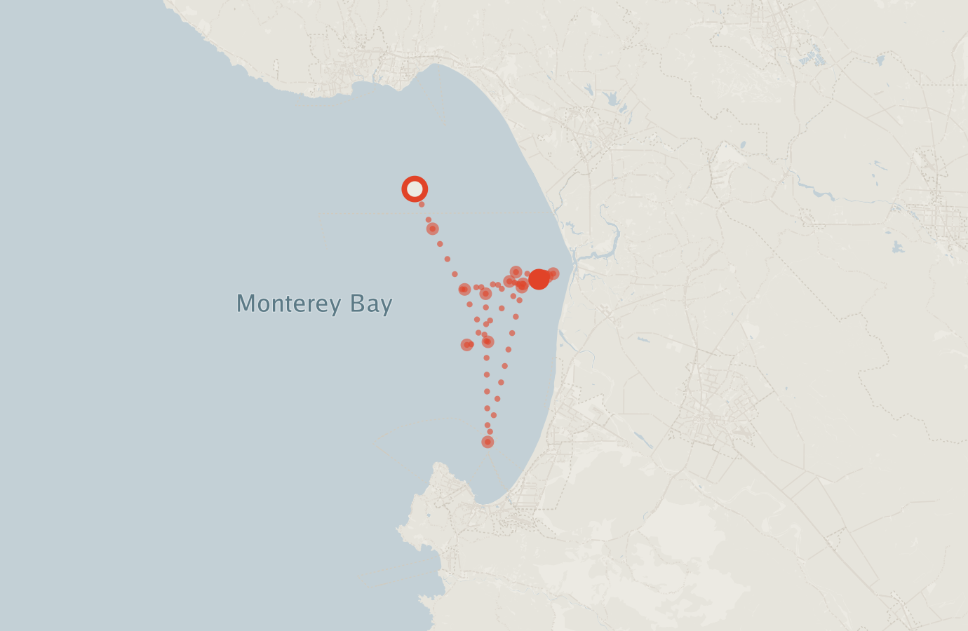 Activity map — real sighting points on an OpenStreetMap basemap