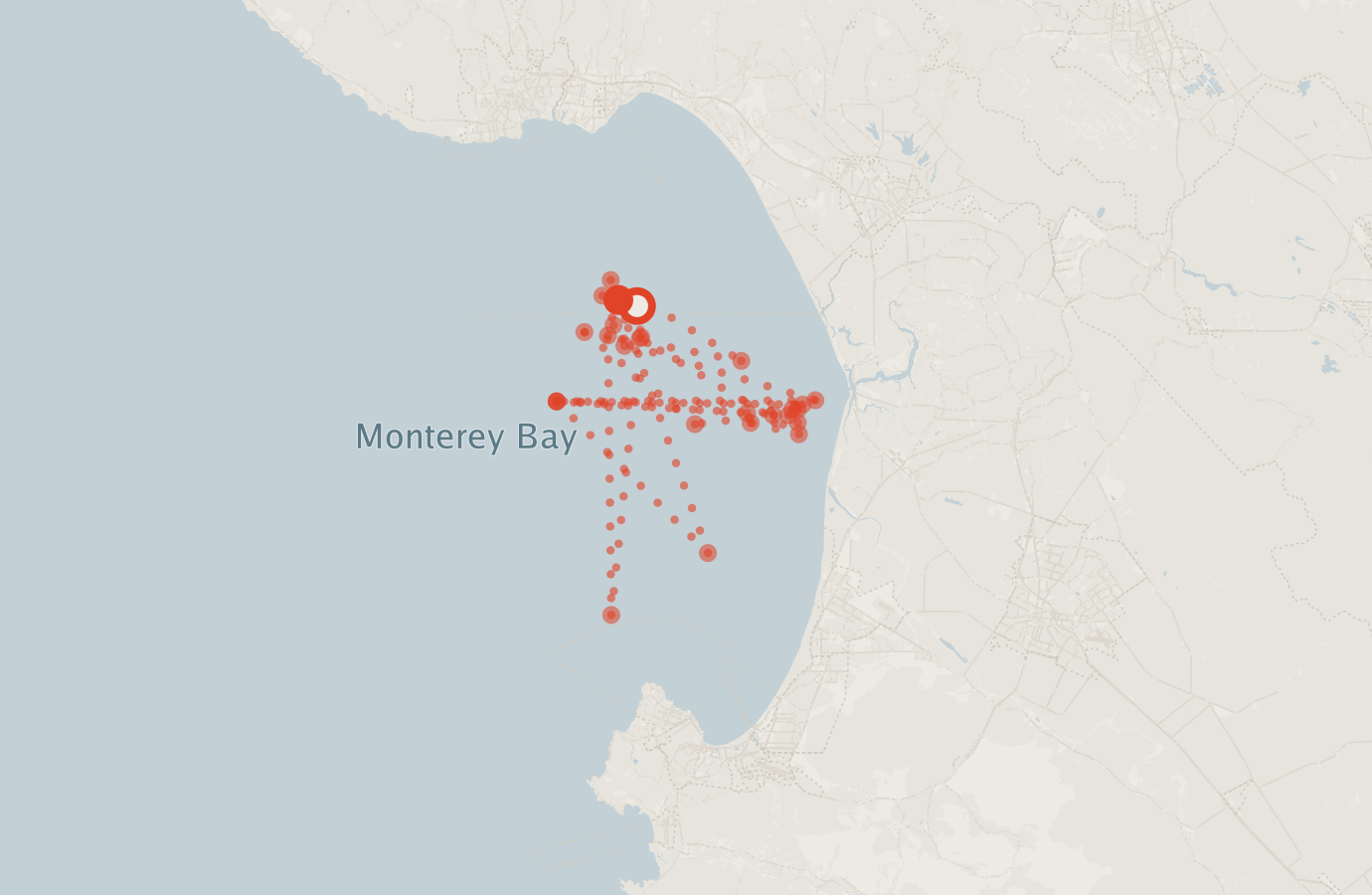 Activity map — real sighting points on an OpenStreetMap basemap