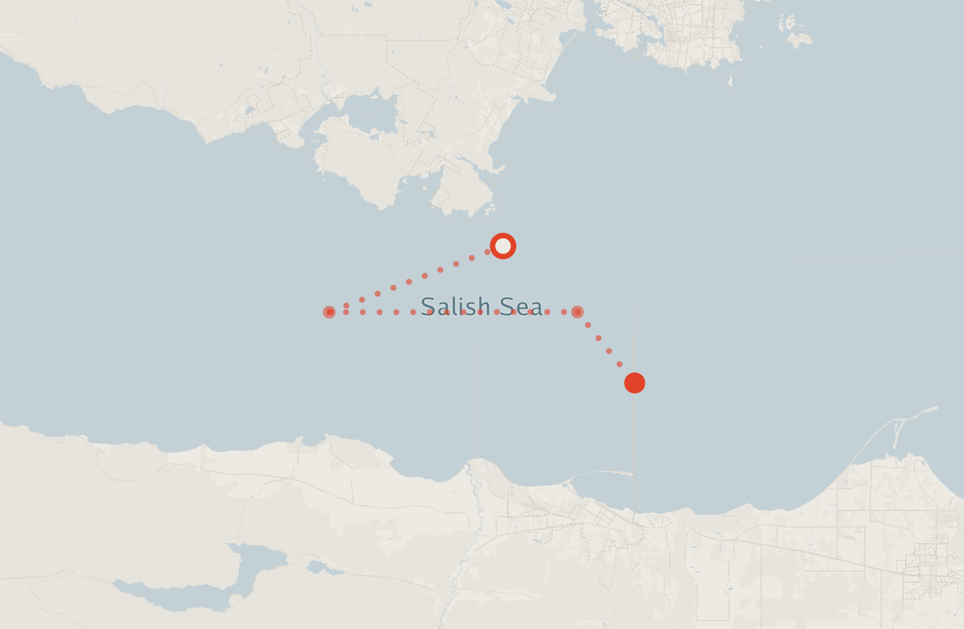 Activity map — real sighting points on an OpenStreetMap basemap