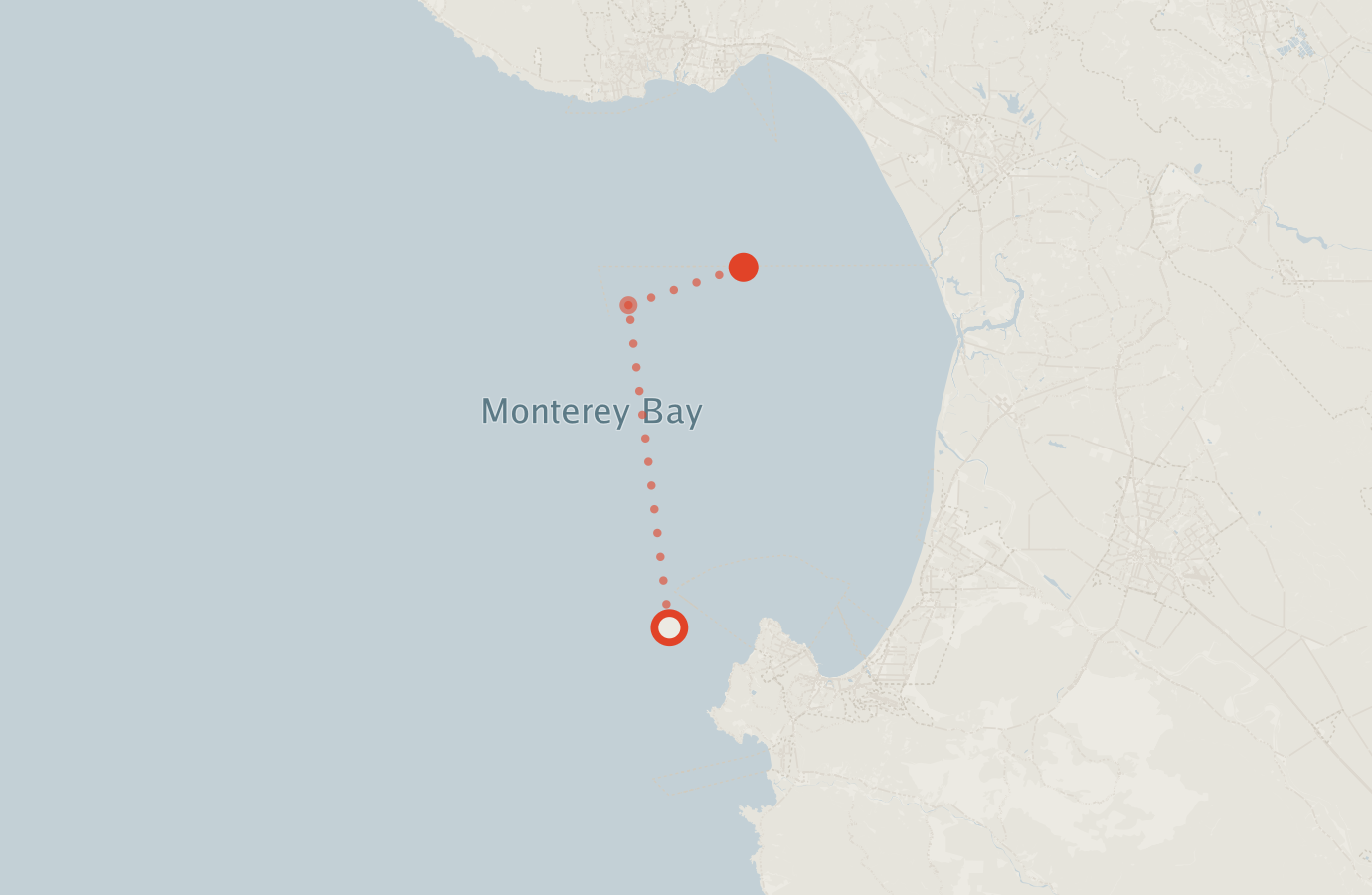 Activity map — real sighting points on an OpenStreetMap basemap