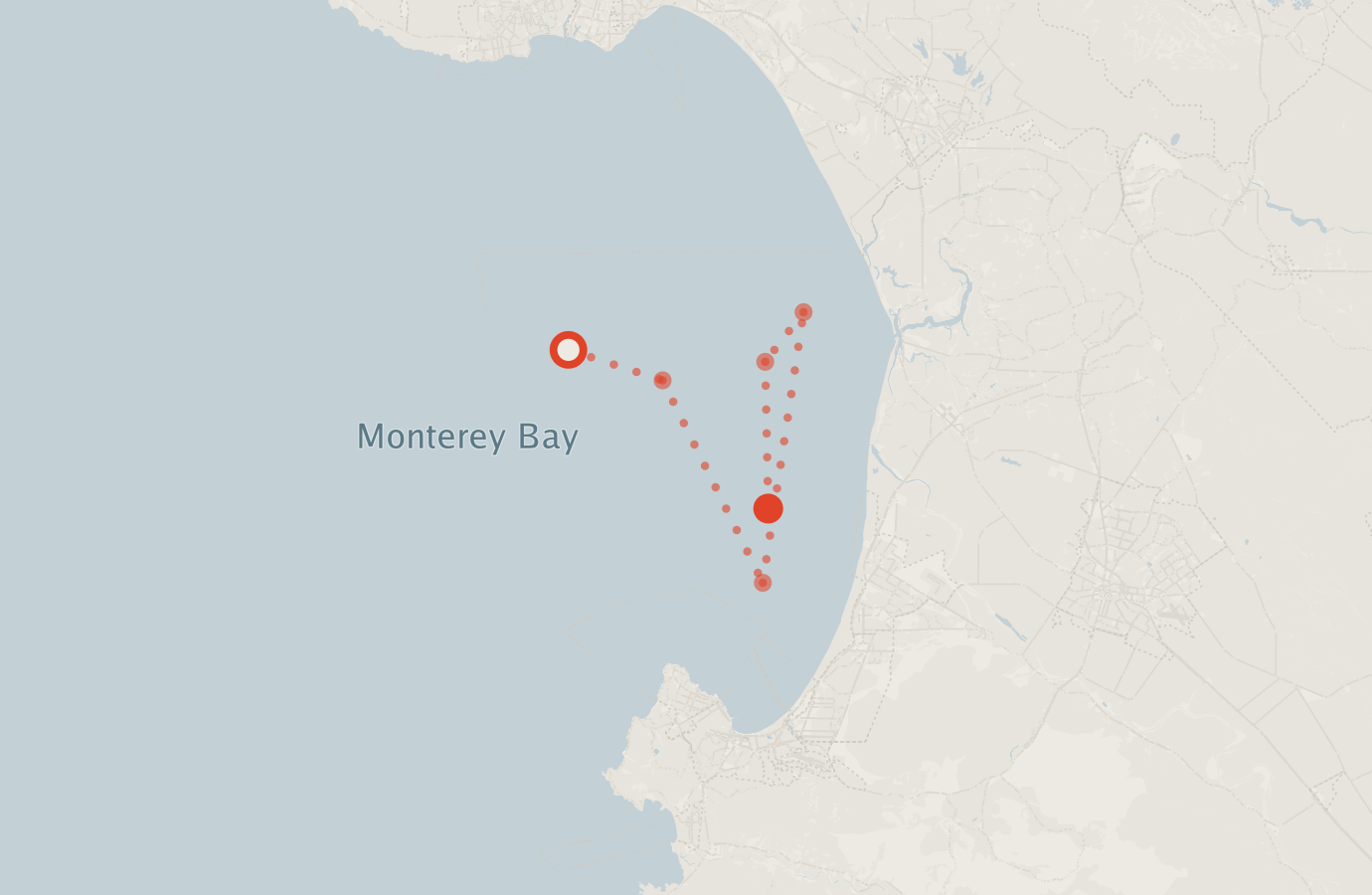 Activity map — real sighting points on an OpenStreetMap basemap