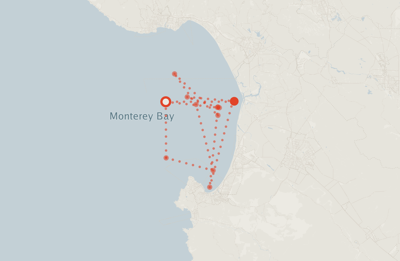 Activity map — real sighting points on an OpenStreetMap basemap