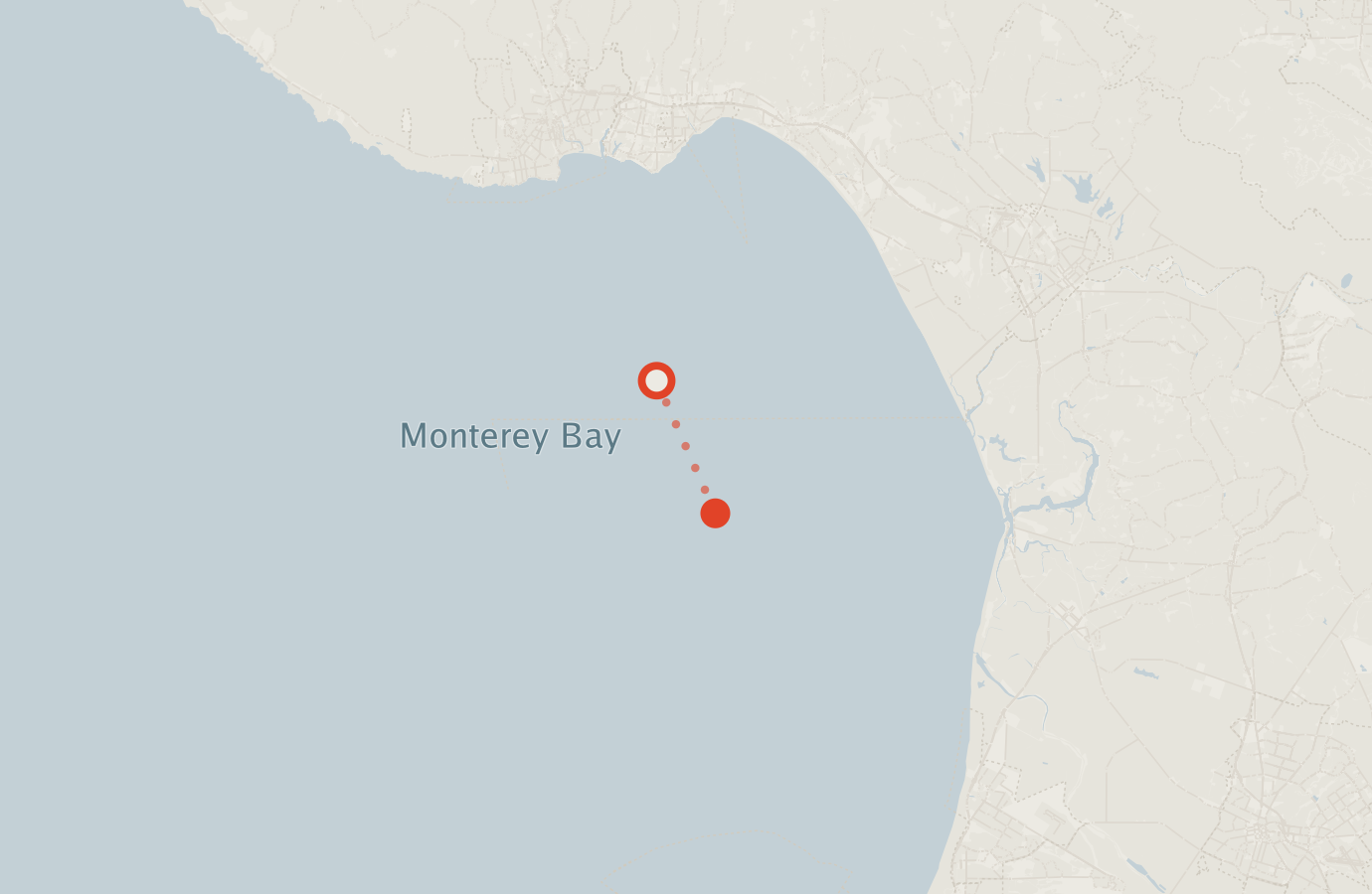 Activity map — real sighting points on an OpenStreetMap basemap
